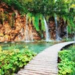 Navštívte chorvatský národní park Brijuni