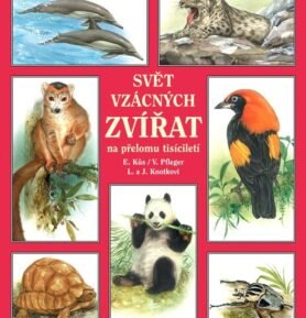 Svět vzácných zvířat na přelomu tisíciletí - Evžen Kůs