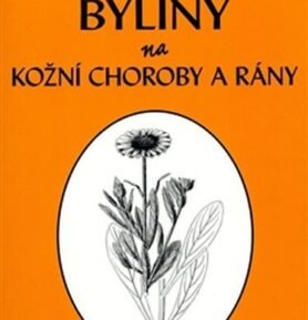 Byliny na kožní choroby a rány - Ida Rystová