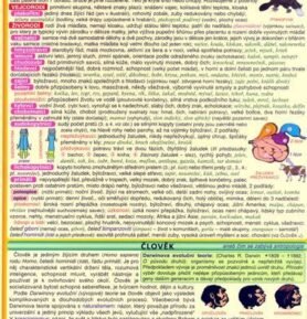 Přehled přírodopisu pro ZŠ 2.díl - Petr Kupka