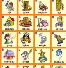 Vyjmenovaná slova - BLM - Petr Kupka