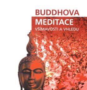 Buddhova meditace všímavosti a vhledu - Mirko Frýba