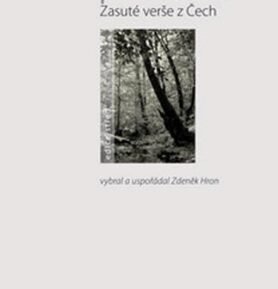 Skrytý poklad - zasuté verše z Čech - kolektiv autorů