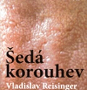 Šedá korouhev - Vladislav Reisinger