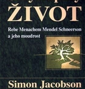 Smysluplný život - Simon Jacobson