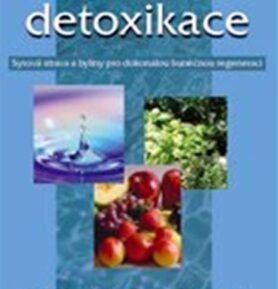 Zázračná detoxikace - S. Robert Morse