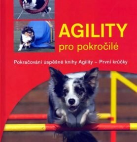 Agility pro pokročilé - Karina Divišová