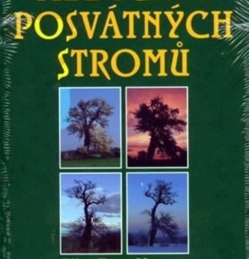 Medicína posvátných stromů - Ellen Evert Hopman