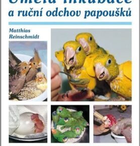 Umělá inkubace a ruční odchov papoušků - Matthias Reinschmidt