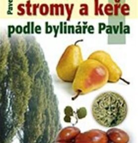 Léčivé stromy a keře podle bylináře Pavla 1 - Pavel Váňa