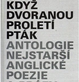 Jako když dvoranou proletí pták - kolektiv autorů
