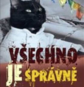 Všechno je správně - Lev Tygr