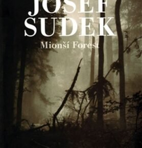 Mionší Forest - Josef Sudek