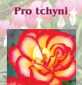 Pro tchyni