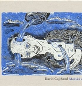 Mořská dívka - David Cajthaml