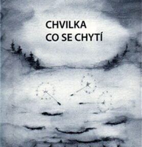 Chvilka co se chytí - Sylvie Krobová