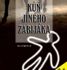 Kůň jiného zabijáka - Jody Jaffeová