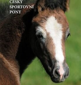 Poníci – Český sportovní pony (ČJ, slovenština) - Dalibor Gregor