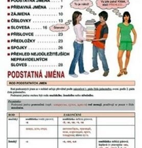 Přehled ruské gramatiky - Pro žáky ZŠ a studenty SŠ - Marie Steigerová