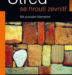 Střed se hroutí zevnitř - Mé putování šílenstvím - Elyn Saks