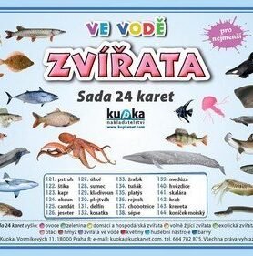 Zvířata ve vodě - Sada 24 karet - Petr Kupka