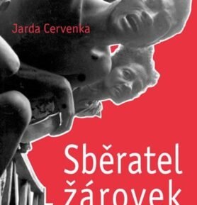 Sběratel žárovek a další povídky z různých koutů světa - Jarda Červenka