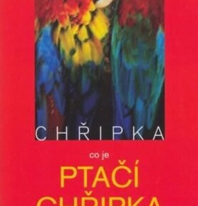 Chřipka co je Ptačí chřipka, jak se chránit, jak ji poznat a jak... - Jan Horník