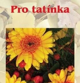 Pro tatínka - Miroslava Kotrbová