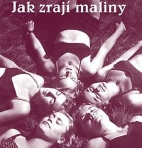Jak zrají maliny - Olga Lipecká