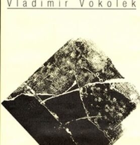 Ke komu mluvím dnes - Vladimír Vokolek