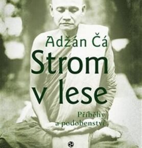 Strom v lese - Příběhy a podobenství - Adžán Čá