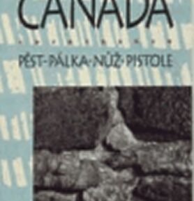 Pěst - pálka - nůž - pistole - Geoffrey Canada