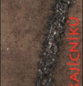 Kniha kajícníků - Walter Nigg