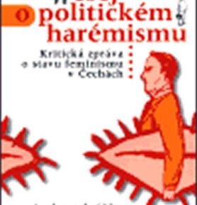 Esej o politickém harémisku - Mirek Vodrážka
