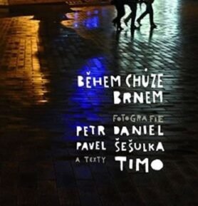 Během chůze Brnem - Daniel Petr