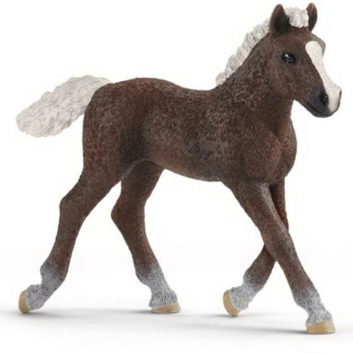 Schleich - Kůň, Schwarzwaldské hříbě