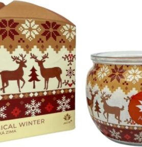 ARÔME - Kouzelná zima Vonná svíčka 90 g
