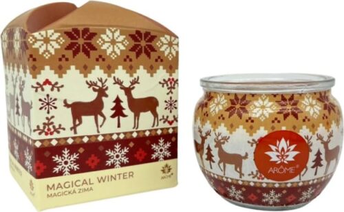 ARÔME - Kouzelná zima Vonná svíčka 90 g