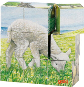 Kostky obrázkové 9ks - Mláďata na farmě (Goki)