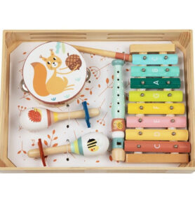 Hudba - Muzikální set, 4 nástroje Lesní zvířátka (2Kids Toys)