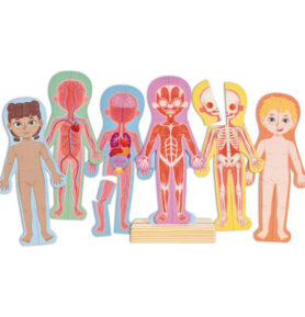 Puzzle magnetické - Lidské tělo (Hape)