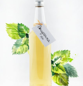 Sirupárna Mátový sirup, 500ml