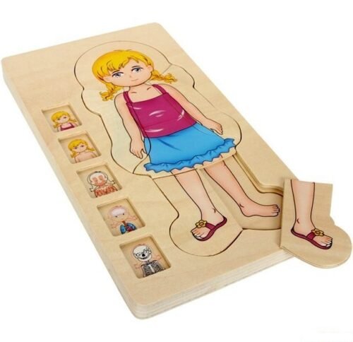 Puzzle vícevrstvé - Anatomie dívka, 4 vrstvy, 28ks (Small foot)