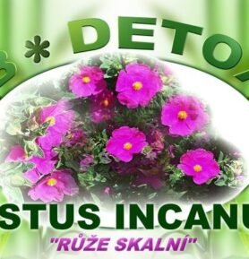 Bio-Detox Růže skalní - CISTUS INCANUS 150g VIP Exp. 27.4.2025
