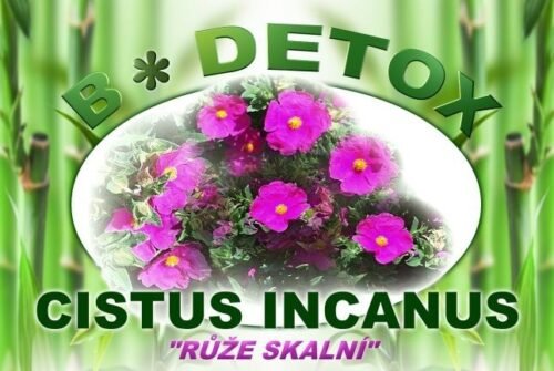 Bio-Detox Růže skalní - CISTUS INCANUS 150g VIP Exp. 27.4.2025