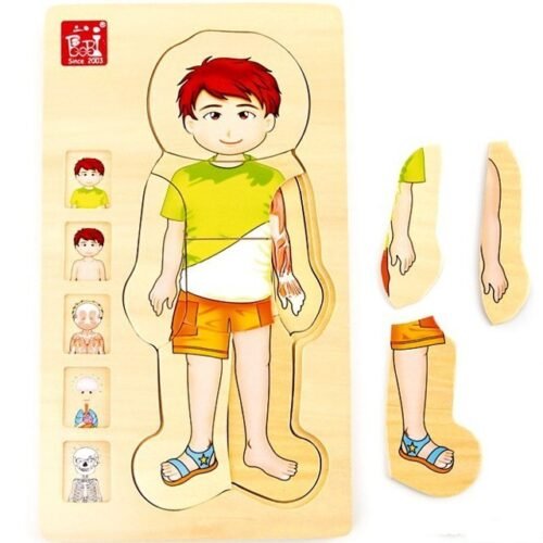 Puzzle vícevrstvé - Anatomie chlapec, 4 vrstvy, 28ks (Small foot)