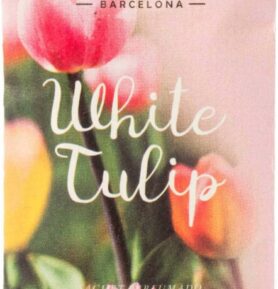 BOLES D´OLOR - Bílý tulipán Vonný sáček