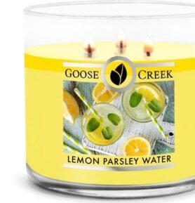 Goose Creek - Citrónová voda s pažitkou Aromatická svíčka ve skle 411 g