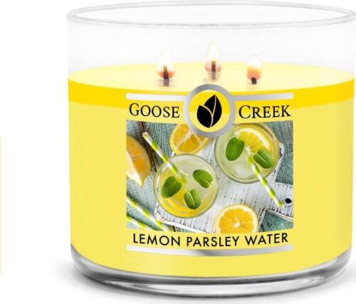Goose Creek - Citrónová voda s pažitkou Aromatická svíčka ve skle 411 g