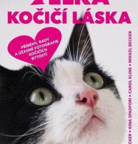 Velká kočičí láska - Marty Becker